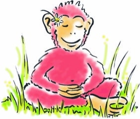 Yoga Klasse des Zentrums für Yoga und Coaching in Greifswald